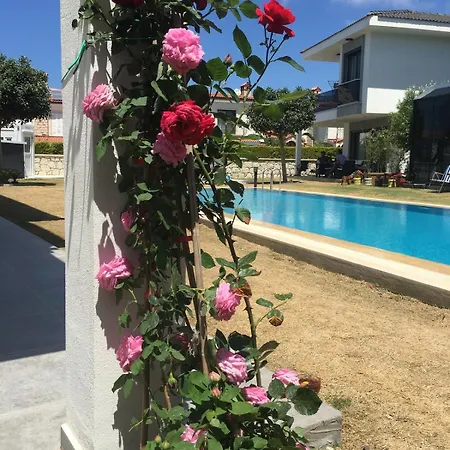 Luxury With Pool For Rent In Izmir çeşme