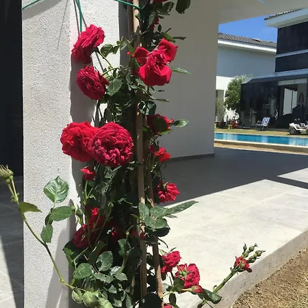 Luxury With Pool For Rent In Izmir çeşme Villa *