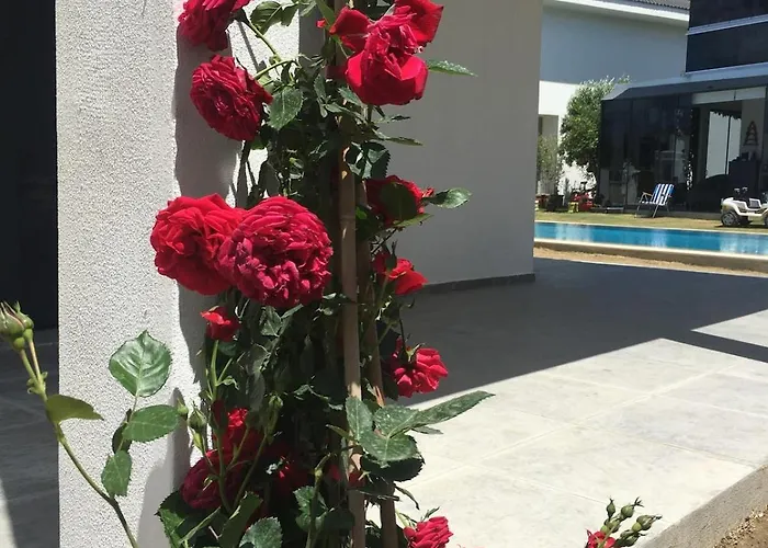 Luxury With Pool For Rent In Izmir Cesme 别墅 *